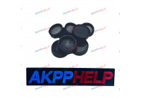 Комплект поршней вилки DSG 7 DQ500 0BH 0BT 0DL 0DW 0GC фото 2